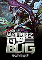 英雄联盟之瓦罗兰BUG