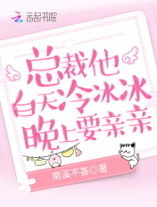 总裁他白天冷冰冰,晚上要亲亲