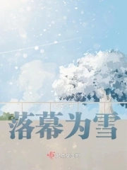 落幕为雪