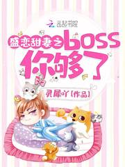 盛恋甜妻之boss你够了