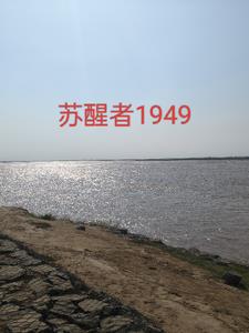 苏醒者1949