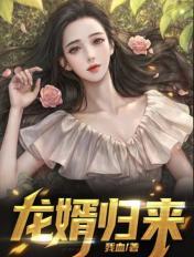 龙婿归来