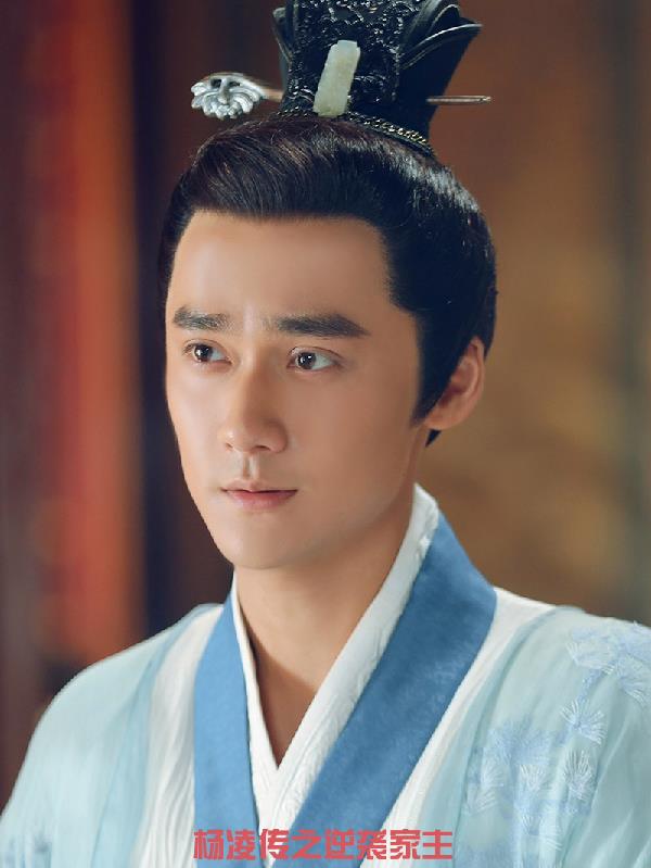 杨凌传之逆袭家主