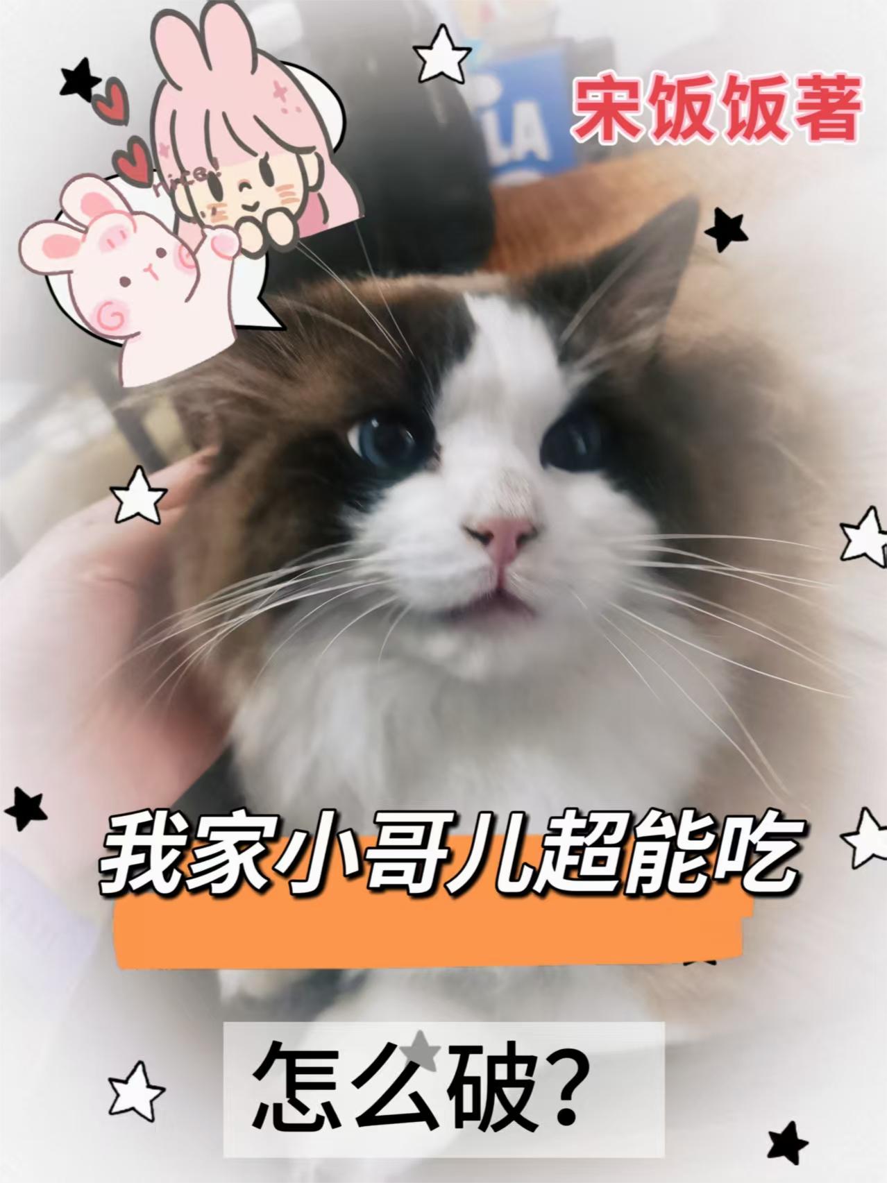 我家小哥儿超能吃怎么破？