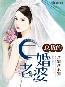 总裁的二婚老婆